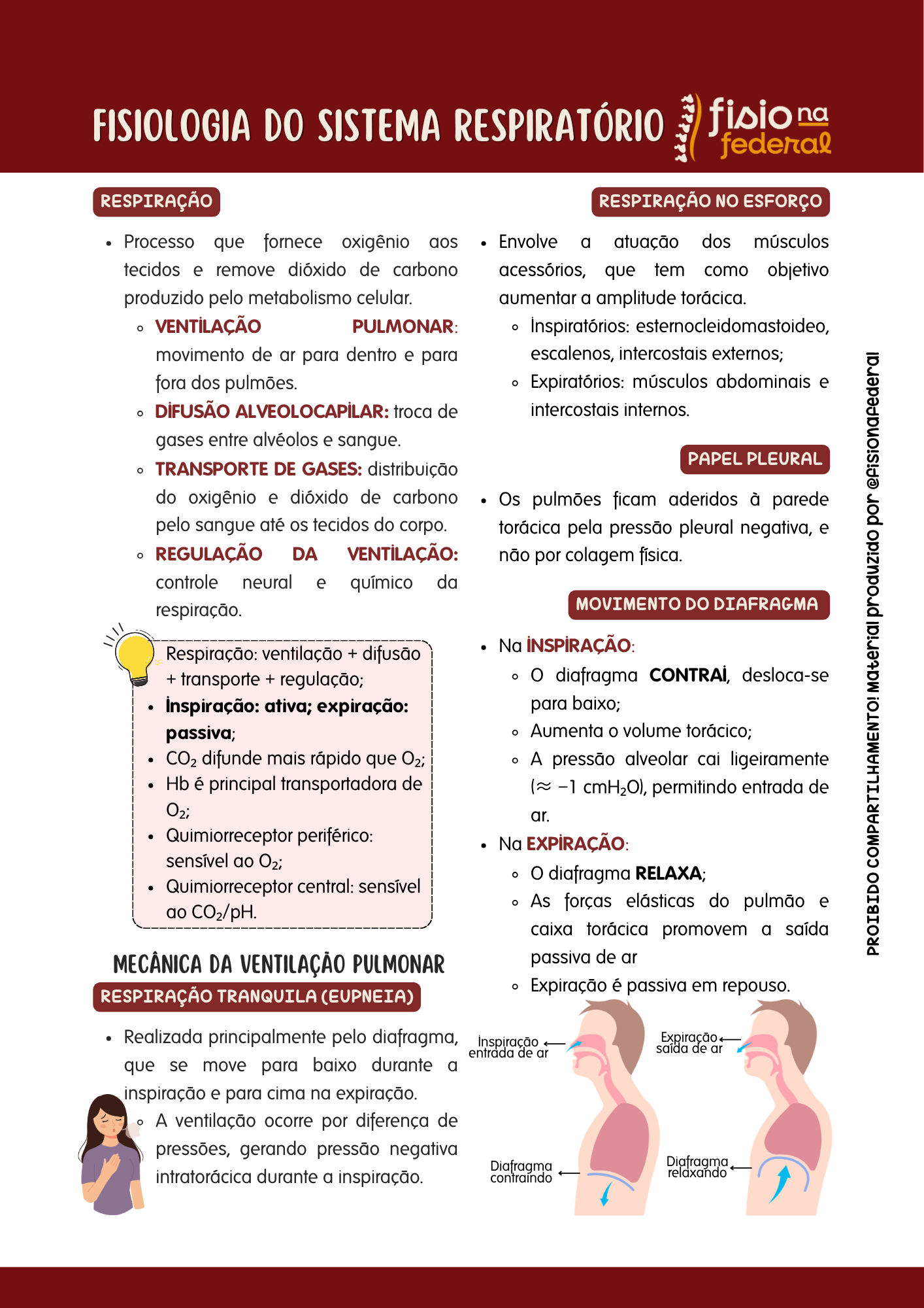 Página interna — Fisiologia do Sistema Respiratório